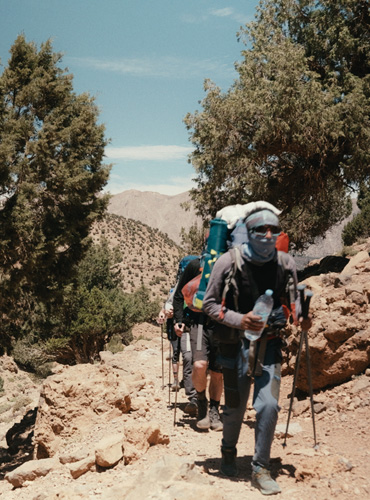 walk 1 main page